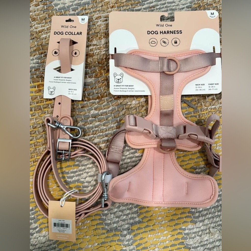 Wild One Harness, Leash, Collar Bundle (M)